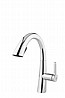 ��� ���� ���� 1017 - ����